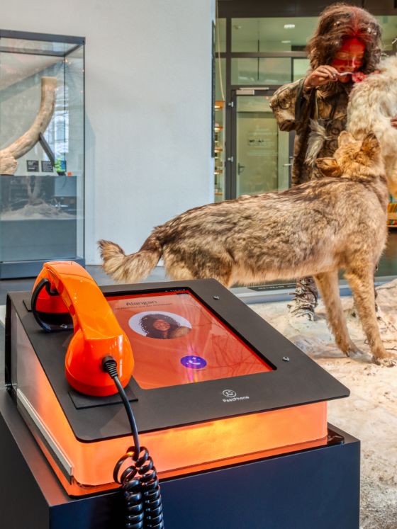 Museum für Urgeschichte(n): Termine frühzeitig online buchen
